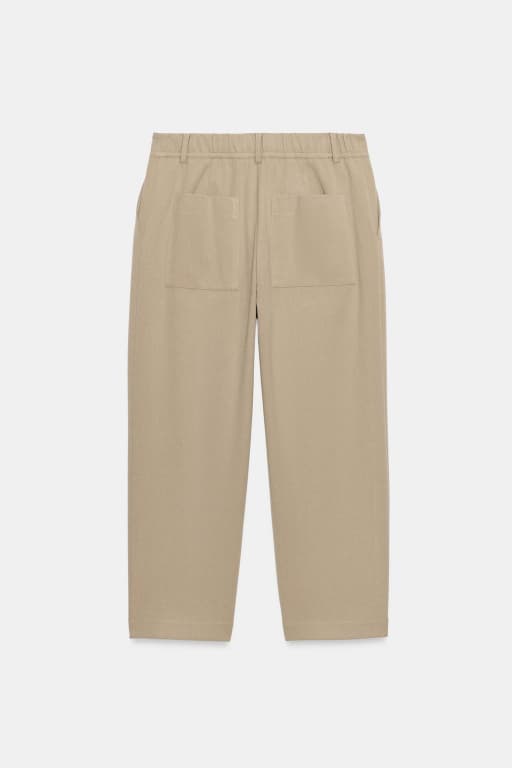 Pleated pants
